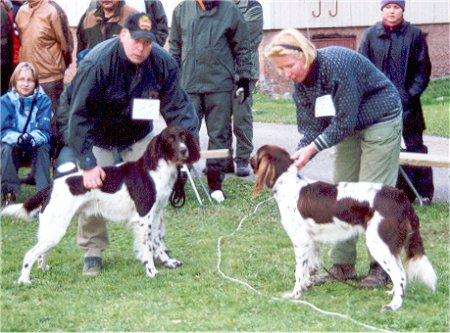 Junkkarin 2002 kauneimmat pitkkarvaiset, Timi ja Tella
