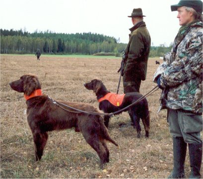 Syyskuu 2002