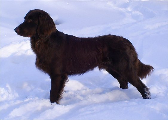 Juuri 1v tyttnyt rr maaliskuussa 2008