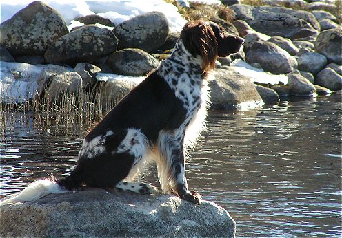 Tulevan kauden odotusta kevll 2005