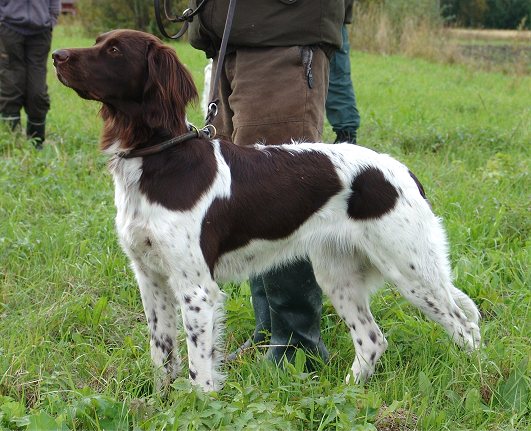 Nelli Jalasjrvell syyskuussa 2008