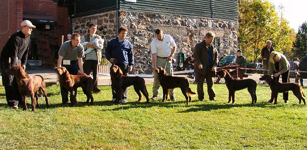 Junkkarissa 2006: Valdo, Veke, Vire, Vihtori, Velhotar ja Viima